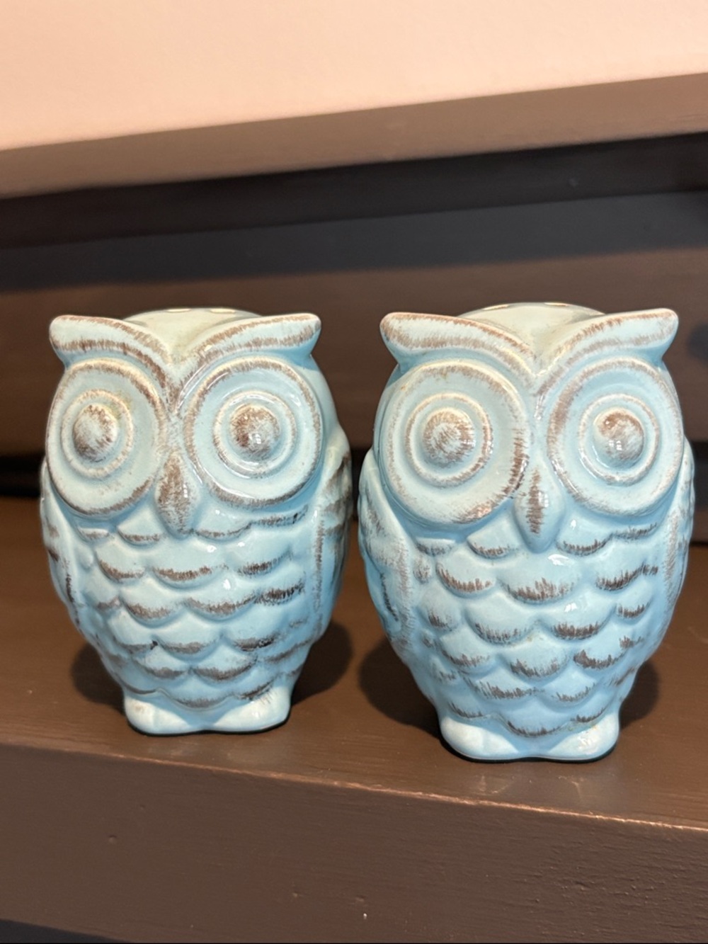 Owl Salt & Pepper Shakers Blue Vintage look